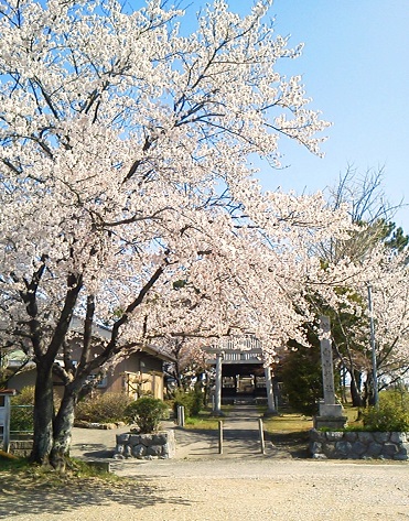 diary-130403.jpg