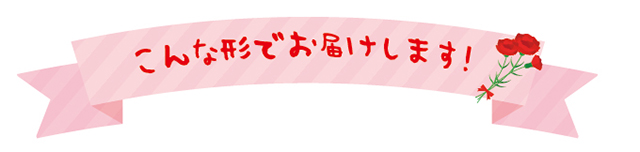 母の日花のプレゼント