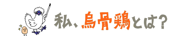 結婚記念日スイーツギフトとプチギフト